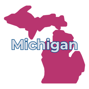 Web_State_MI