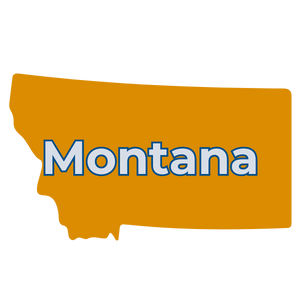 Web_State_MT